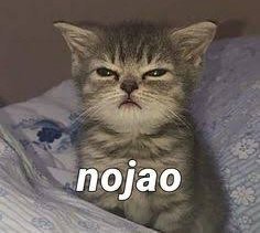 GinaTalip's tweet photo. *No gana el #Oscar #LaSociedadDeLaNieve *
Automáticamente yo:

#Oscars2024 #TheSocietyOfTheSnow https://t.co/nr7ijjRdeD