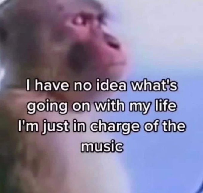 NO CONTEXT HUMANS (@humansnocontext) on Twitter photo 