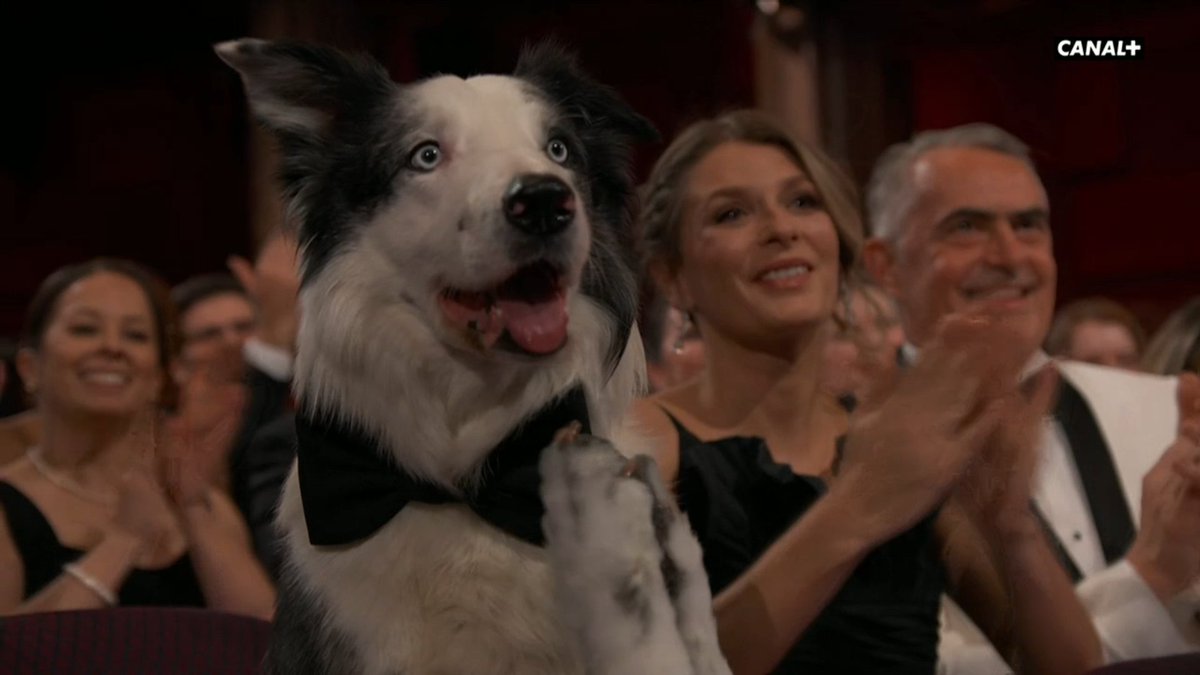 assellou's tweet photo. Ce plan pour m'achever, Messi vraiment une star #Oscars #Oscars2024 https://t.co/iTFwqwCVpE
