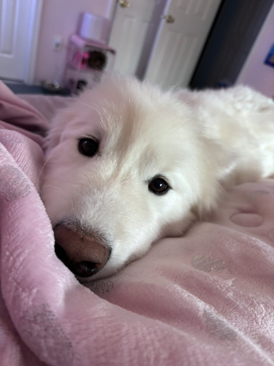 NattyCat 💕 shop now! tweet media