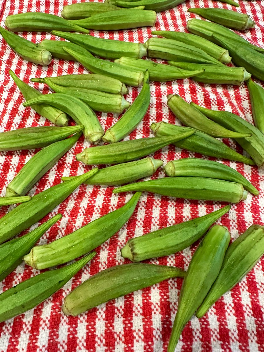 free_style_chef's tweet image. Got room for some okra on your dinner plate? 

#twittersupperclub 

#okra #bhindi #indianfood #sabji #onions #dosa #dahi #foodie #dinner