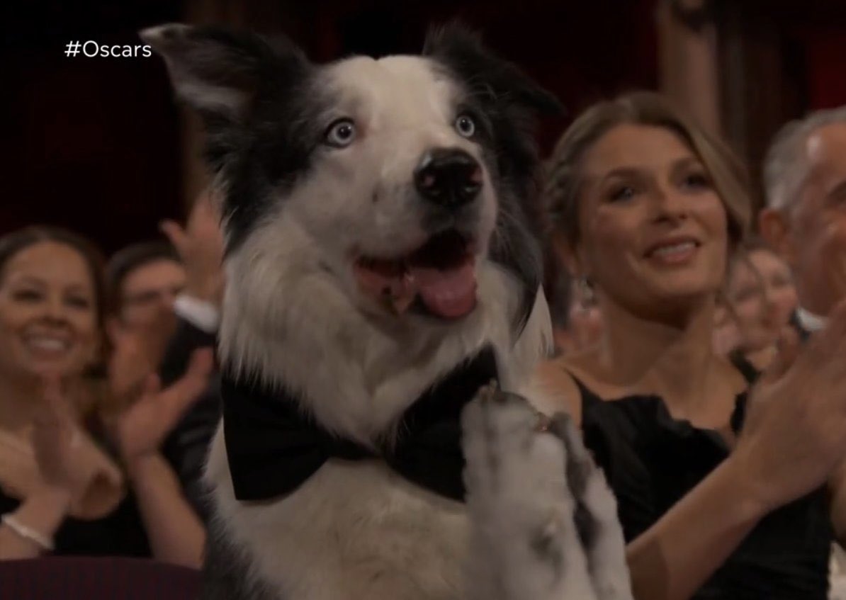 Messi clapping for Robert Downey Jr’s first #Oscar win.

See the full winners list: bit.ly/OscarWins24
