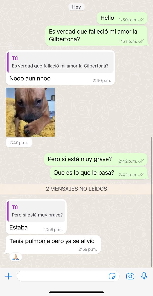 la_gr0sera's tweet photo. ÚLTIMAS NOTICIAS DE LA SALUD DE #LAGILBERTONA 

LA GILBERTONA NO ESTÁ MUERTA! https://t.co/zE3eMtGvfR