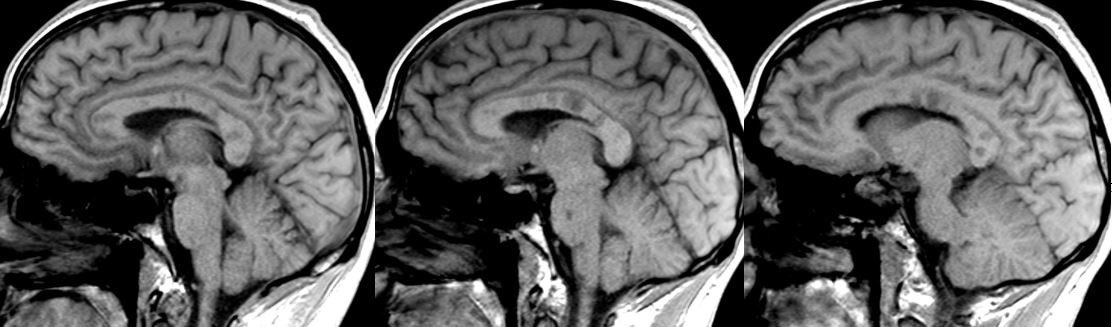 Daniel Gewolb, MD tweet media