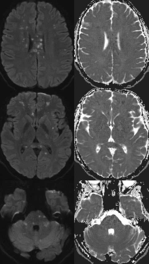 Daniel Gewolb, MD tweet media