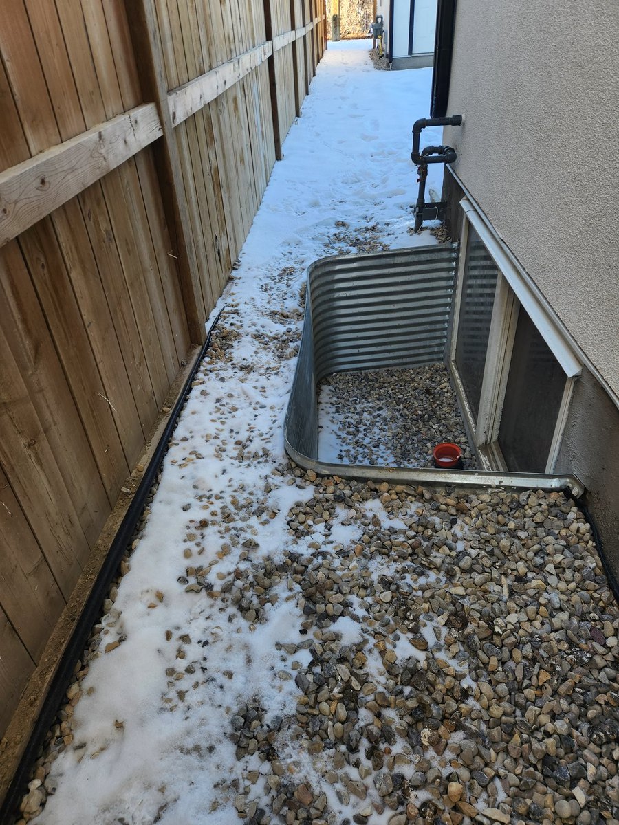 Martin Flanagan tweet media