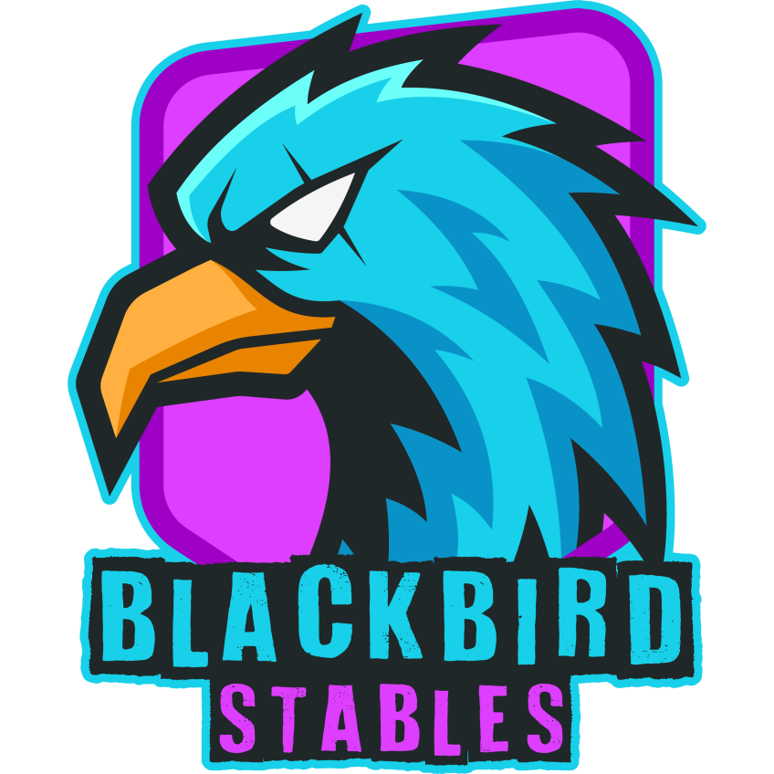 ValkyrieRacer's tweet photo. @prospect_hodl was the legend behind making @SlyRaven1432's @photofinishgame logo for her silks. I know some were asking about changing their silks for a week or a day in honor of her. He has graciously provided that logo for us. I think it would be awesome to see nothing but Blackbird Stables silks in a few races!! 🐦‍⬛💜🫶