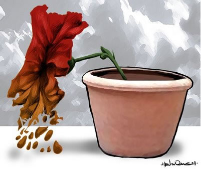 66 % de eleitores expressaram por o seu voto o que desejam para o futuro do país.  Uma aliança conservadora e o populismo fachista. 

A esquerda falhou.