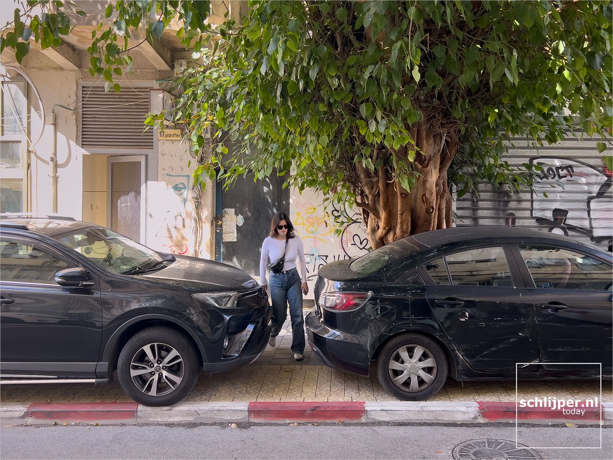 schlijperisrael's tweet photo. Remember the nicely widened sidewalk around the #Wolfsontree? Well, I'm sorry to say but Tel Avivian drivers are assholes. Without bollards every bit of sidewalk will be occupied by cars.
So pedestrians have to walk on the street again.
#carsTLV #פידתחבורה #TelAviv #Wolfson https://t.co/vu5Iq65y4F