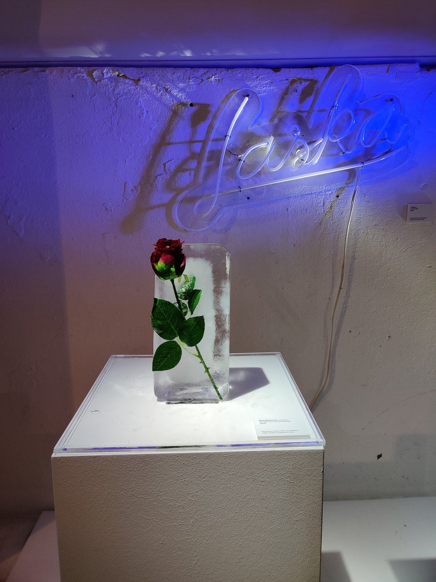 daria_spam's tweet photo. Non tornavo in Italia da 4 mesi. Ci sono tornata solo per 36 ore. Ho 26 anni e ancora nessun posto che riesco a chiamare casa, ma ieri mi ci sono sentita a casa.
Sotto al palco, come le volte prima.
Grazie Corrado

@mecna https://t.co/J2y4eq1K9b