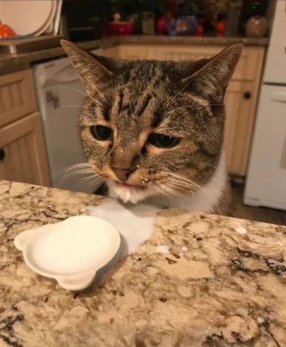 assess's tweet photo. soon i will eat https://t.co/oMGkubL5a3