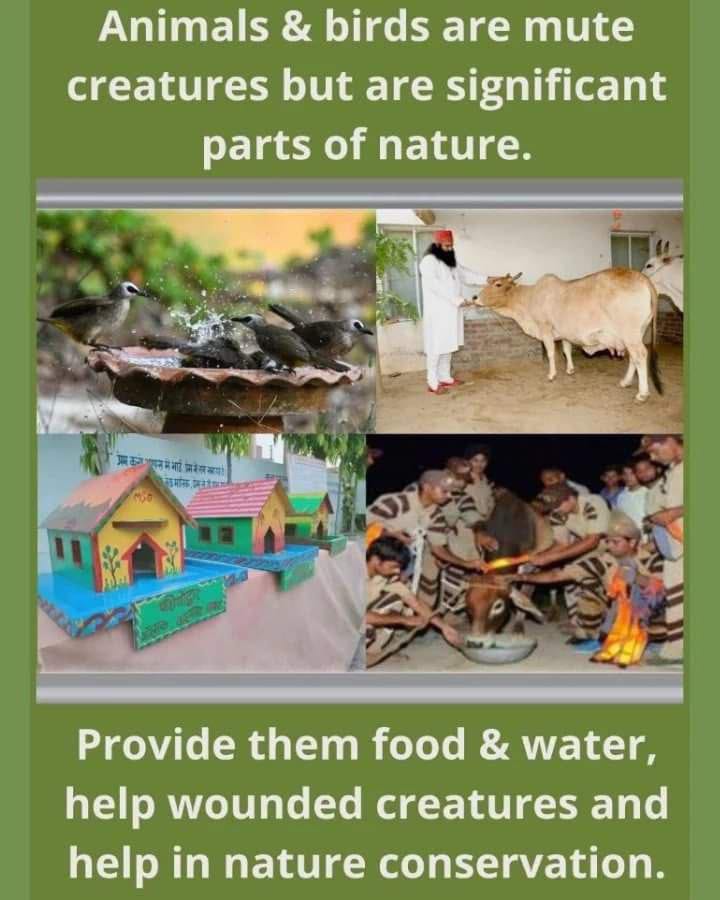 Great welfar works for humanity #RoadSefty done by Dera Sacha Sauda volunteers with pious inspiration of Saint MSG Insan
#AnimalWelfare