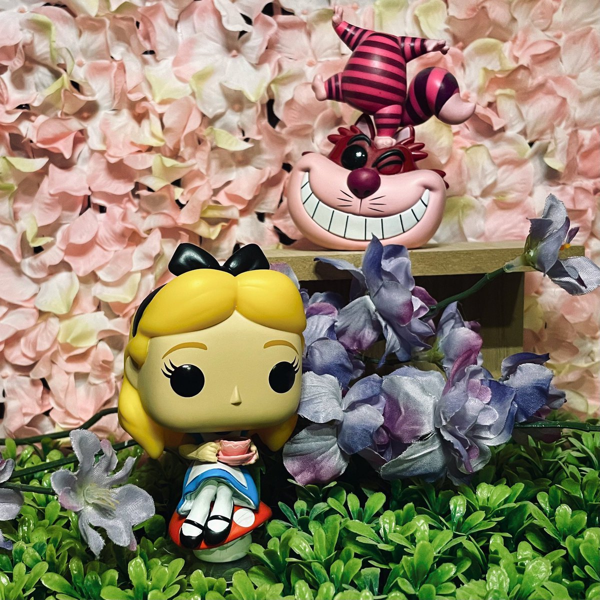 Littlebird_db's tweet photo. @funko Movie weekend for @funko #funkophotoadaychallenge Hoping to win a new #SMFreddy #funkophotoaday #aliceinwonderland #disney #cheshirecat https://t.co/yhbpKeoLIu