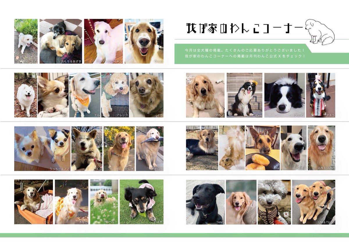 gekkan_wanko's tweet photo. 【大募集】全犬種OK！ワンちゃんの写真を大募集‼️૮ ´• ﻌ ´• ა📸月刊ゴールデンレトリバーvol.6特別号「わんこ」（5月15日発売）我が家のわんこコーナーにすべて掲載させて頂きます！🦮🐶✨

【応募方法】
・@gekkan_wanko をフォロー
・この投稿をRepost（RT）&いいね
・わんちゃんの名前と写真を一緒にリプライお願いします（引用repostではなくリプライでお願いします）

【注意事項】
※写真はなるべく高画質でお送りください
※応募多数でも全て掲載します（一頭につき写真1枚まで）
※前回の当選者様も応募可能です（別の写真をお送りください）
※画質が粗く印刷に耐えれない場合は掲載をお断りする場合がございます

【募集期間】
2024年3月20日（水）23:59迄

そして‼️
月刊ゴールデンレトリバーvol.5特別号「わんこ」（4/15発売号）の当選者はこちらです👏🎊発売をお楽しみに😆🎵

《月刊ゴールデンレトリバー（わんこ）好評発売中 》
・Amazon→ https://t.co/8L4SxYiENE
・ジェイロック通販→https://t.co/mfDEUuCvgO
・メルカリShop→https://t.co/sBZsjHEzc1

#月刊わんこ
#月刊ゴールデンレトリバー