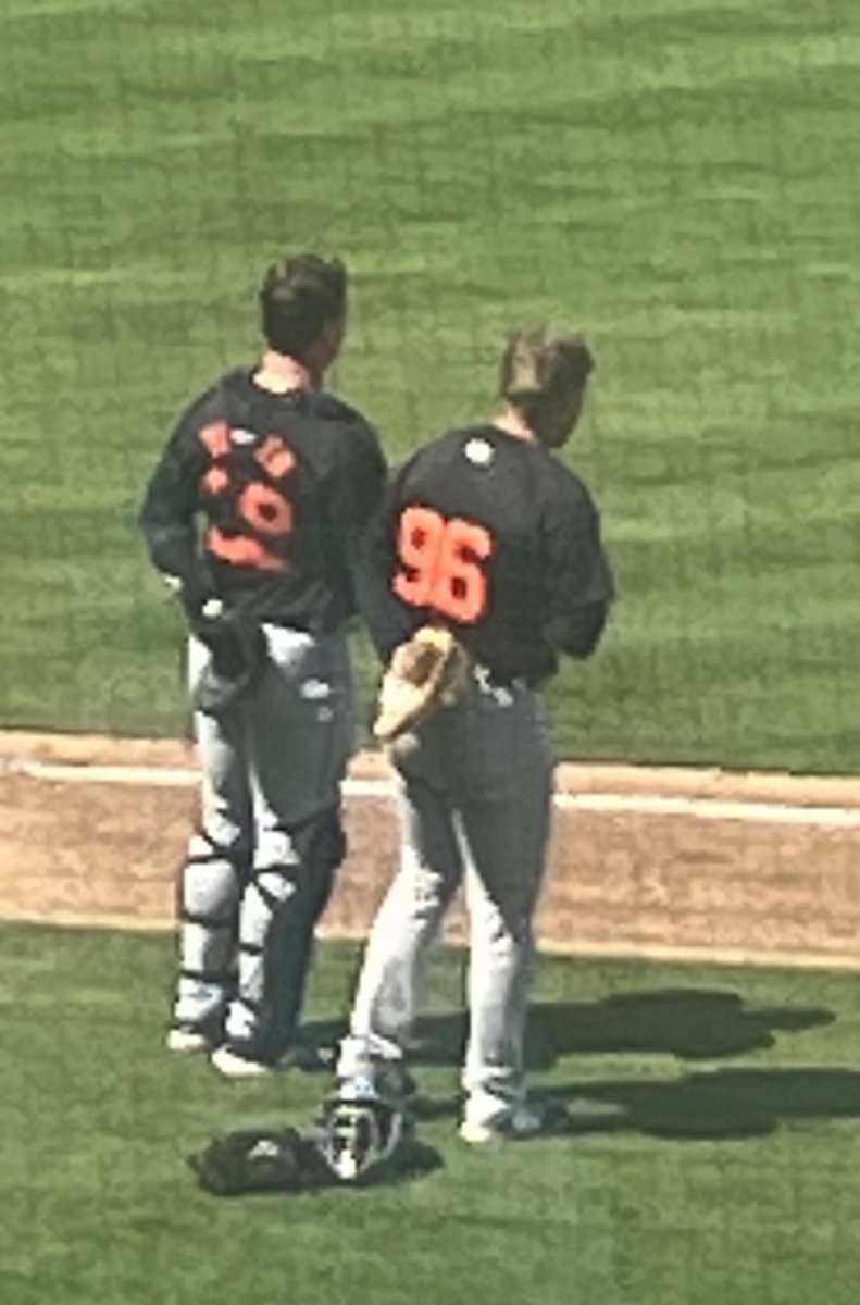 Greg Beals (@bealsy9) on Twitter photo Thanks to former student manager and analytics specialist <a href="/DMatejczyk35/">Danny Matejczyk</a> for sending this pic of two former catchers, Dillon Dingler and Archer Brookman on the same field in big league spring training with the Tigers Thanks to former student manager and analytics specialist <a href="/DMatejczyk35/">Danny Matejczyk</a> for sending this pic of two former catchers, Dillon Dingler and Archer Brookman on the same field in big league spring training with the Tigers
