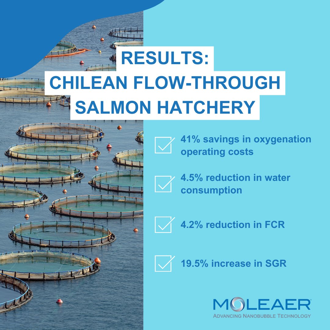 moleaer's tweet image. Join our team at AquaSur Chile, happening from March 19-21 in Puerto Montt.

Join our team at stand N-16 to learn about how #nanobubbletechnology has been shown to improve flow through #aquaculture systems by reducing #water, oxygen &amp;amp; #energy consumption.