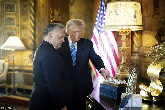 AMCinHogtown's tweet photo. Why is Donald showing Viktor his balls? Is Poilievre down south promoting genital inspection outside the Mar-a-Lago toilets? Where's Steve? (I guess the pic didn't go the first time) #IDU #CanadianPsycho #PierrePoilievreIsUnelectable https://t.co/0mF6JY7vE8