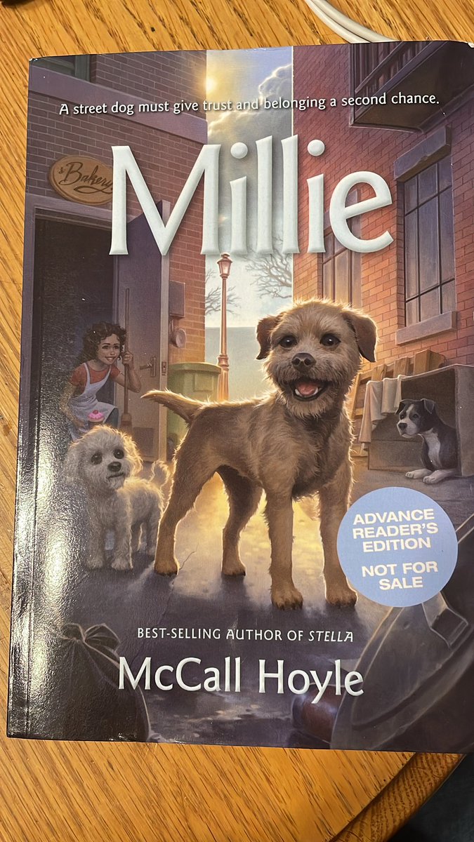 Two more great arrivals! Excited for these very different books! @McCallHoyle @ShadowMountn @MichelleRReader @PajamaPress1 #bookposse