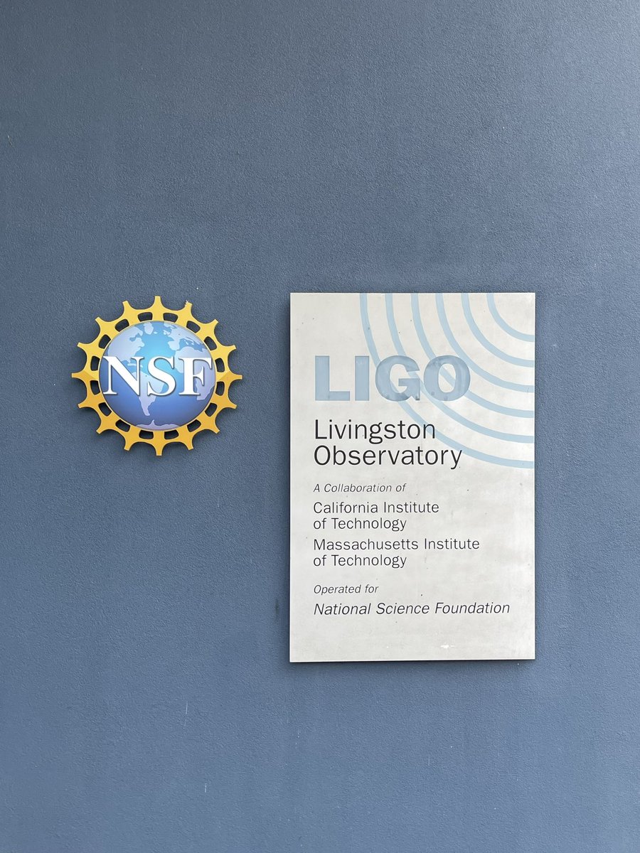 Christine L. 🐋 tweet media