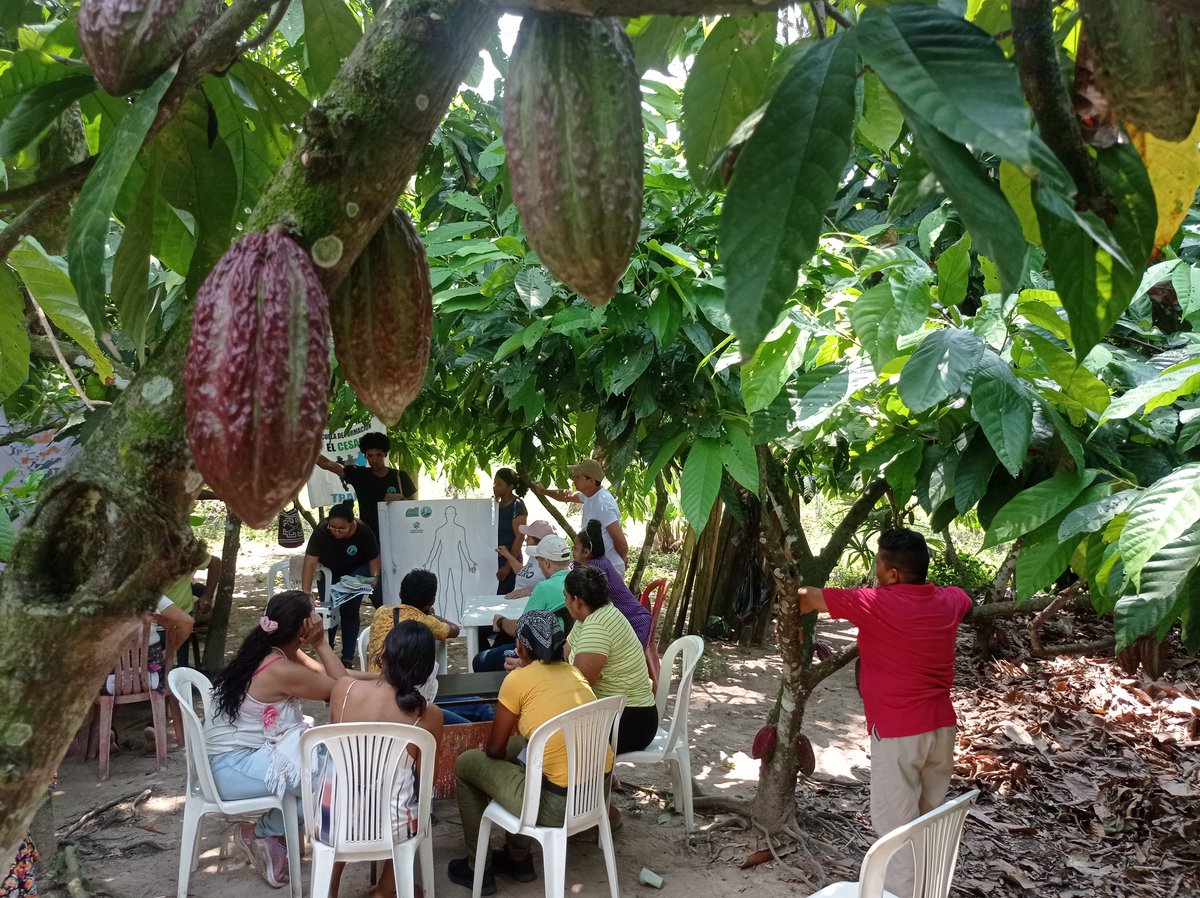 AlianzaSta's tweet image. Están los campesinos en Cesar listos para una transición? Qué necesitan, y qué pueden aportar? Cuál es su idea de transición? #CesarSinFrackingySinGas habla con comunidades sobre #Agroecología