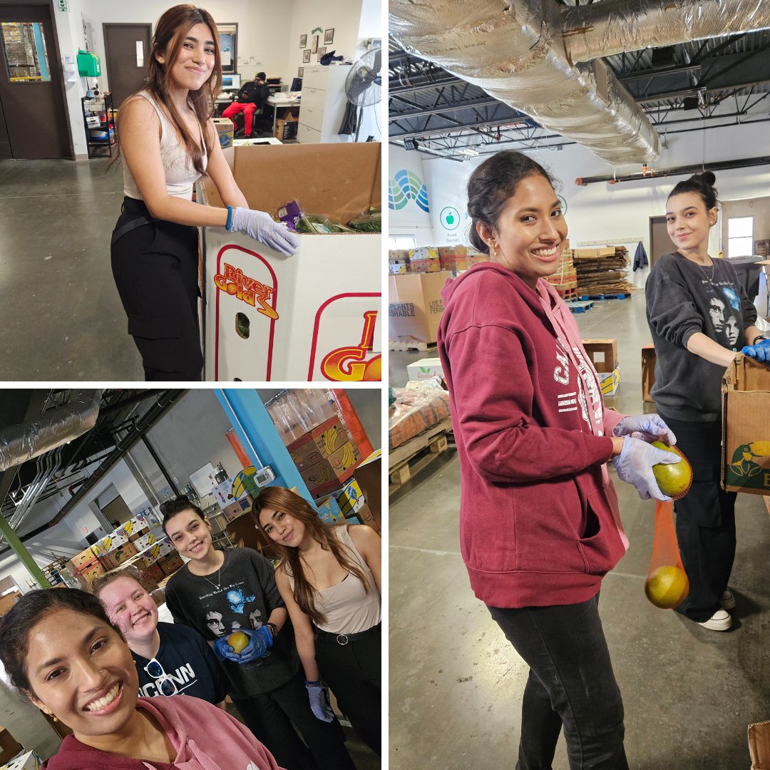 Last week members of the #UConnSPP community volunteered at @CTFoodshare. Thank you to Umme, Kader, Wilisha, Rachel for your #PublicService! Interested in volunteering? Visit Connecticut Foodshare's website for more info ctfoodshare.volunteerhub.com/vv2/
