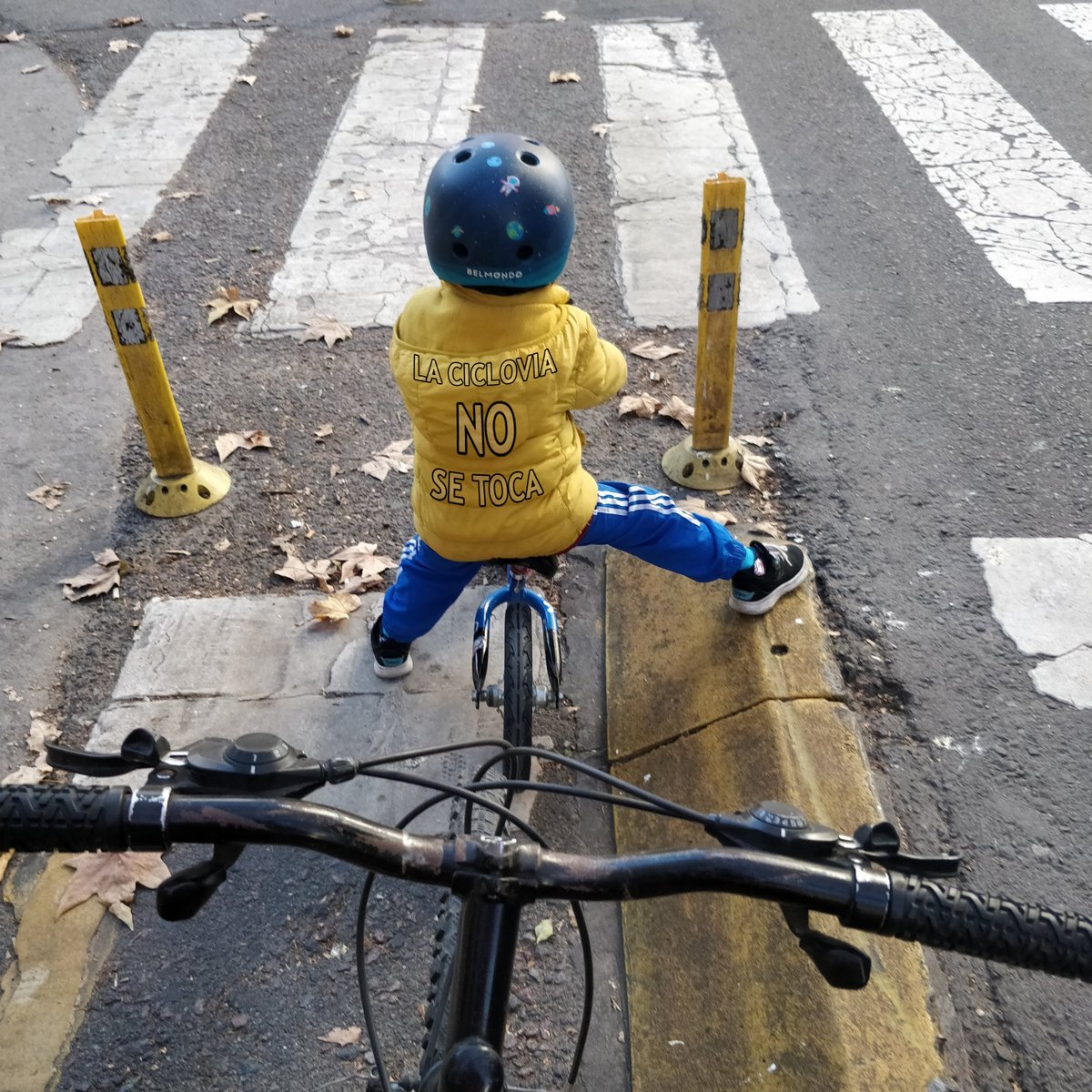 MIKILO3DArt's tweet photo. LA CICLOVIA NO SE TOCA ! SLDs SR. @jorgemacri https://t.co/Ab4KiJYZLB