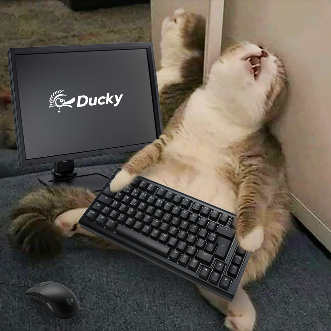It's Monday again 😵‍💫 Is everyone like this cat? 🐈 Still want to keep sleeping? #bluemonday #ducky #mechanicalkeyboard #mood #work #keyboard #mouse #accessories #meme #funny