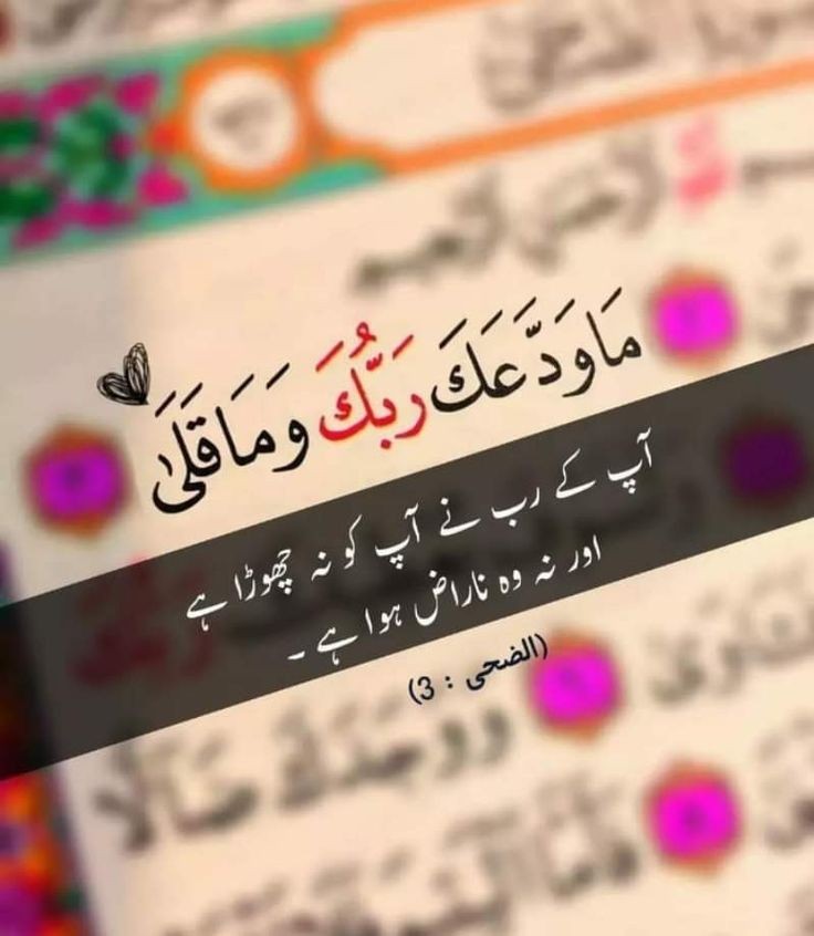 السلام علیکم ورحمۃ اللہ وبرکاتہ
صبح بخیر زندگی

اگر کیفیت یا یکسوئی میسر نا بھی ہوئے
تو بھی نماز ادا کرو
کیونکہ نماز فرض ہے کیفیت نہیں🕋