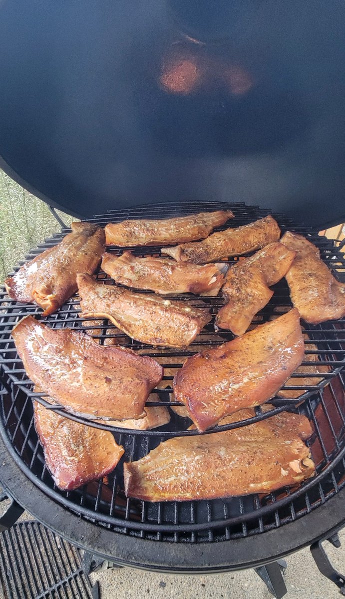 bowdown79's tweet image. Got  way too much rainbow trout from my dad&apos;s friend decided to try  smoking it in my #BigGreenEgg