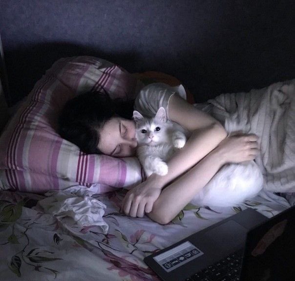 under wild tree (@innergirldump) on Twitter photo 