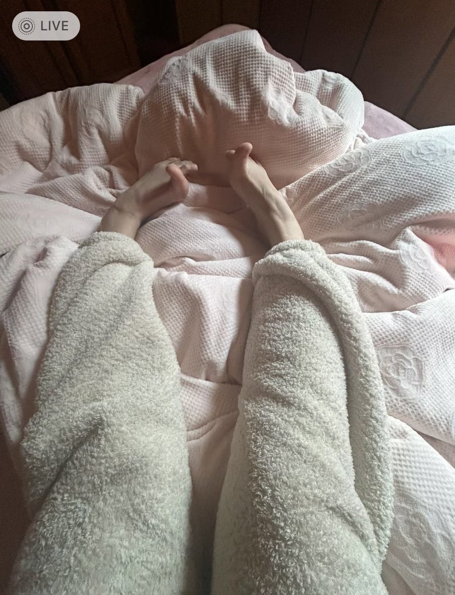 #보령시 #대천동 이불밖은 위험해