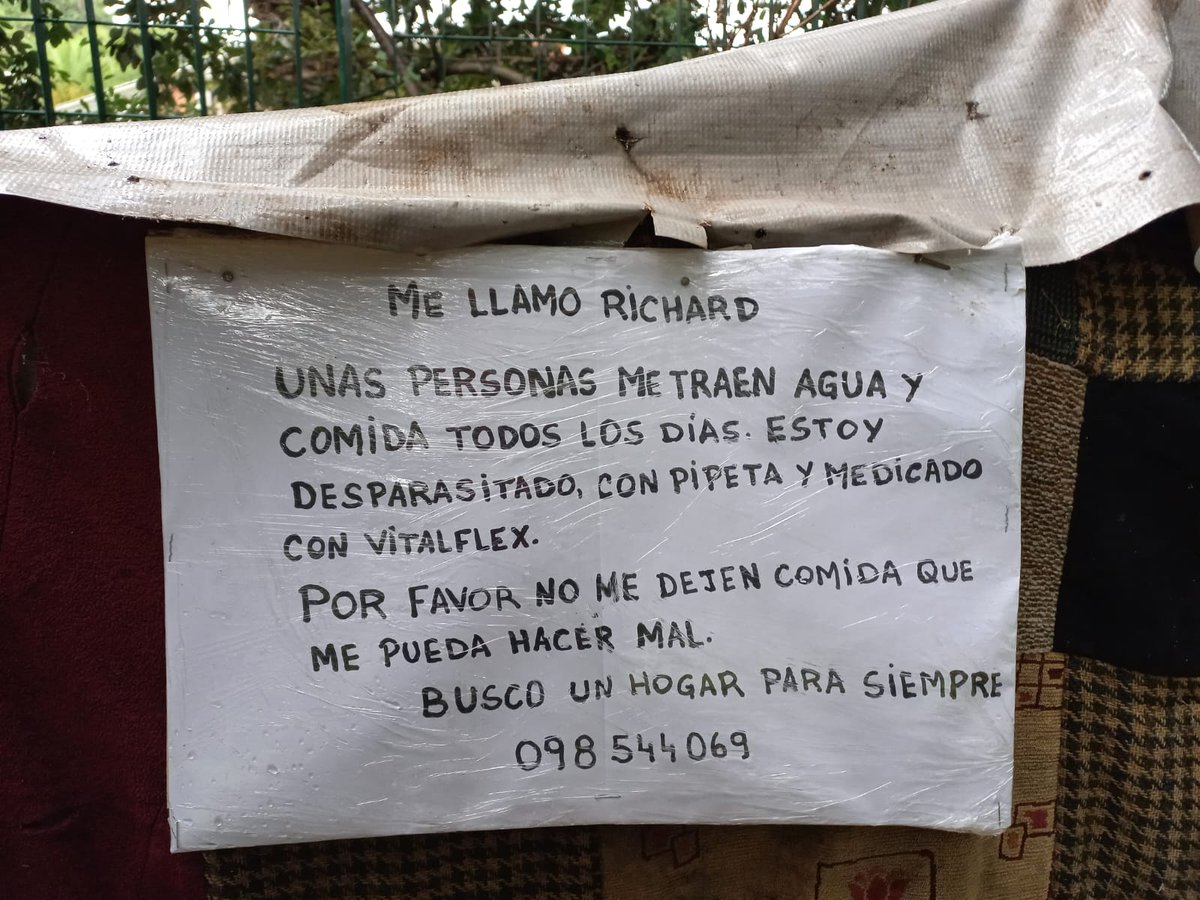 BelvedereGatos's tweet image. No gano La sociedad de la nieve, no se olviden de mi y compartan amigos a lo mejor yo gano un hogar para siempre!!! 🤞🐶🤞