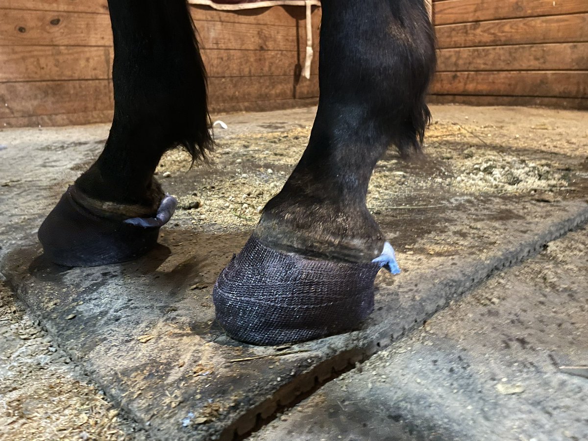 Slowly but surely coming along.