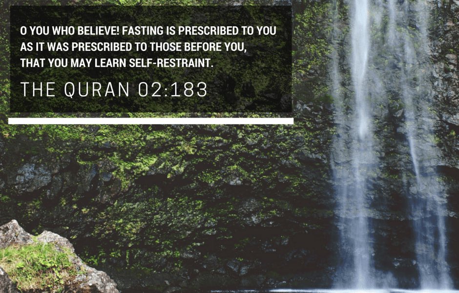 NFTier🧙🏽‍♂️ tweet media