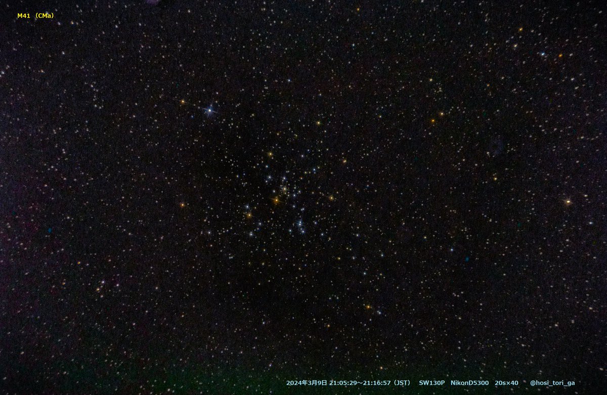 M41 おおいぬ座の散開星団
＃SW130P
#NikonD5300