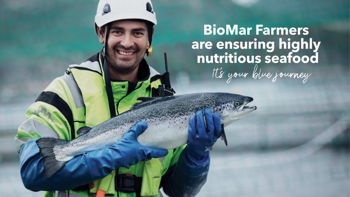 At BioMar, we're committed to making it easier for people to make healthier choices for a sustainable future. BioMar's partnerships with our dedicated farmers ensure that you get nutrient-dense, high-quality seafood that delights your taste buds and nourishes your body.