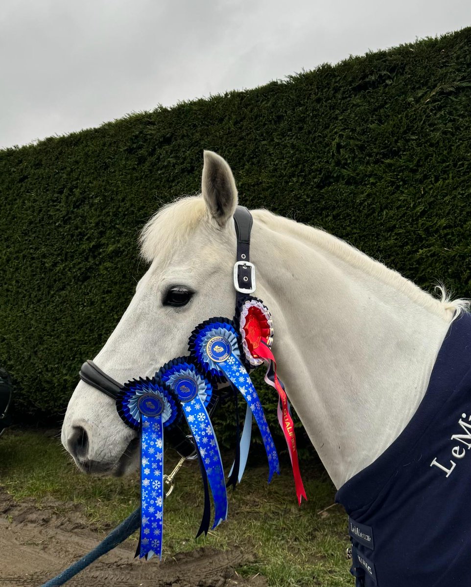 This w|e some of #Gordonstoun’s Equestrian Team competed at the Moray riding club dressage at Mundole in Forres, whilst Hope F’s show jumped at Ladyleys Riding Club: great prep for next w/e’s Scottish School’s Equestrian Championship 

#Gordonstounjuniorschool #boardingschool