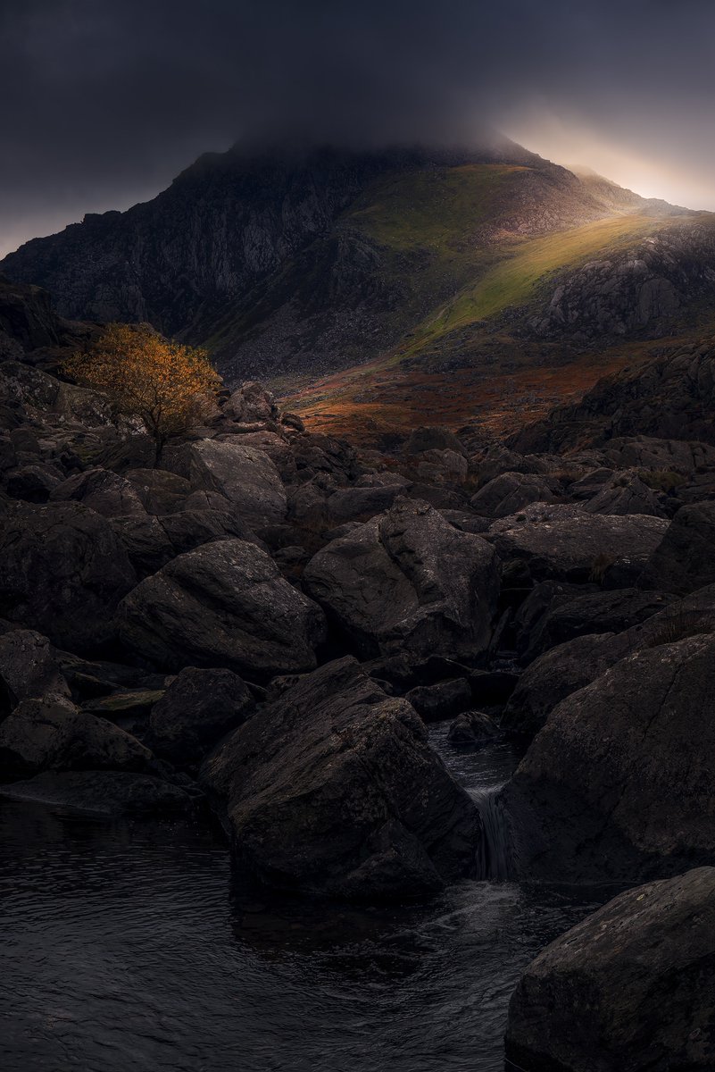 Happy Monday and all the best for the week!

'burning bush'
Ogwen Valley, Snowdonia.