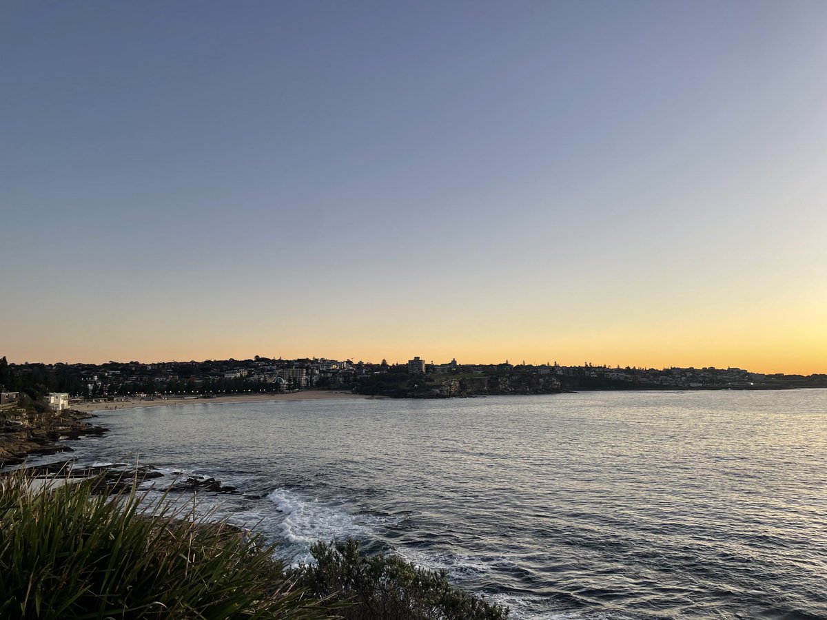 Level D/E jobs in EXERCISE Science/Physiology and also PHYSIOTHERAPY. The School of Health Sciences is expanding. Be a leader in our School and work near this beach! ⁦@UNSWMedicine⁩ &Health external-careers.jobs.unsw.edu.au/cw/en/job/5232… external-careers.jobs.unsw.edu.au/cw/en/job/5232…