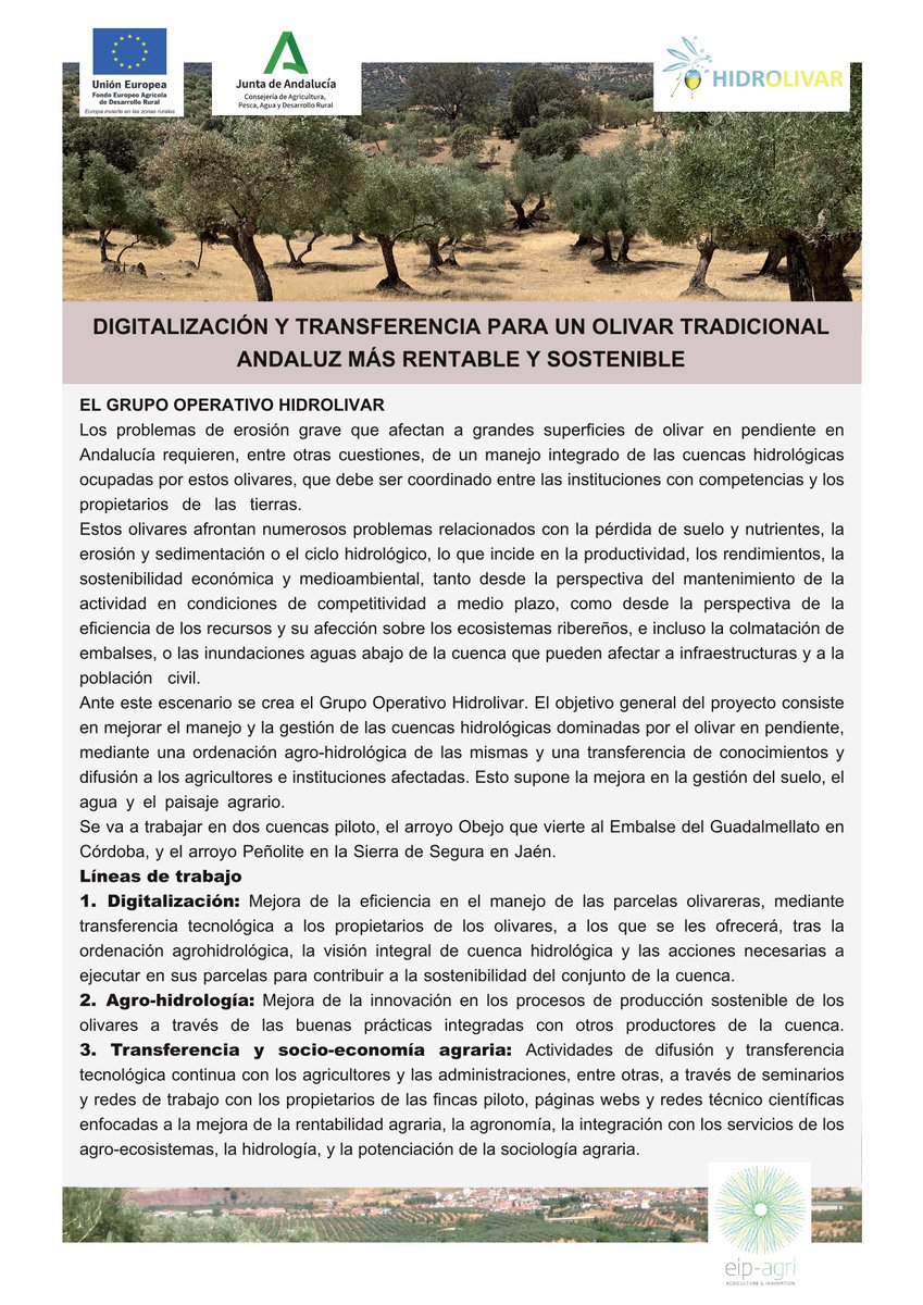 HIDROLIVAR's tweet photo. #FactSheet @HIDROLIVAR  Digitalización y Transferencia para un olivar tradicional más rentable y sostenible. https://t.co/PiAUSsGDR5