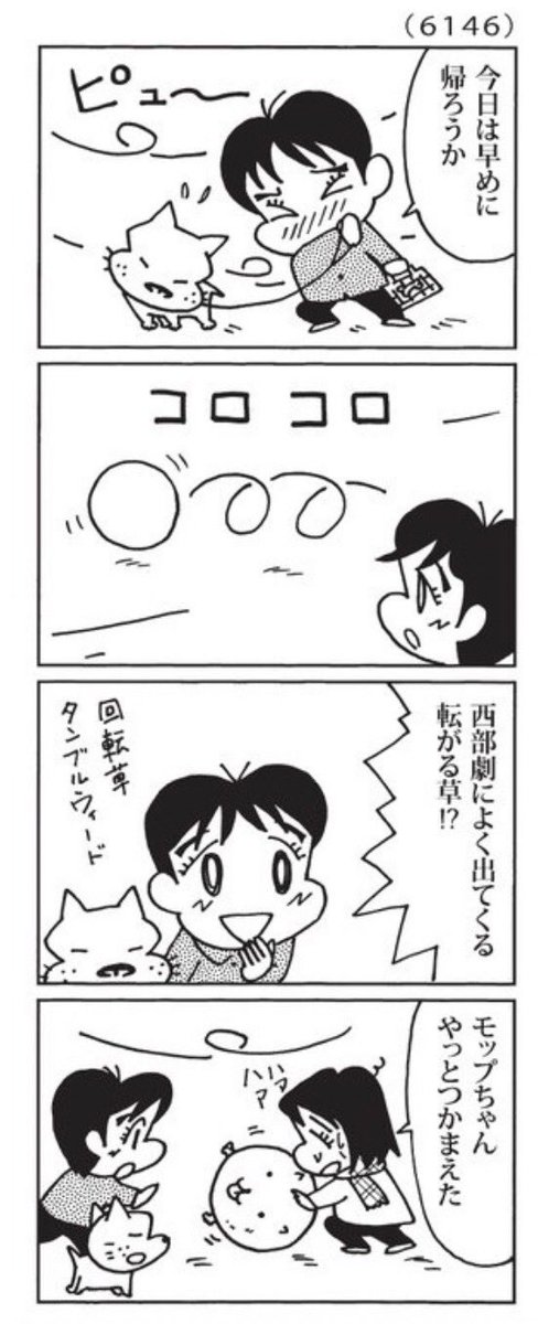 最近の「ウチの場合は」

風に吹かれて転がる何か。

@mainichi 
#毎日新聞夕刊 