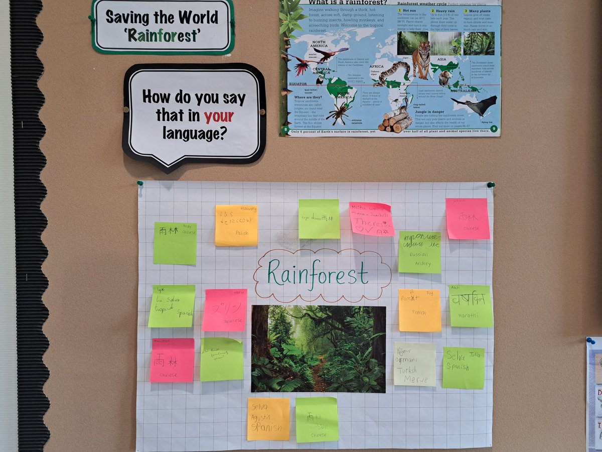 ISH_EAL's tweet photo. In Y3, we are learning about the #rainforest in IPC. We went over some #vocabulary in our unit and explored what they were in our #homelanguages. #translanguaging #multilingual #alllanguagesmatter #eal https://t.co/2P5gQF2zRU