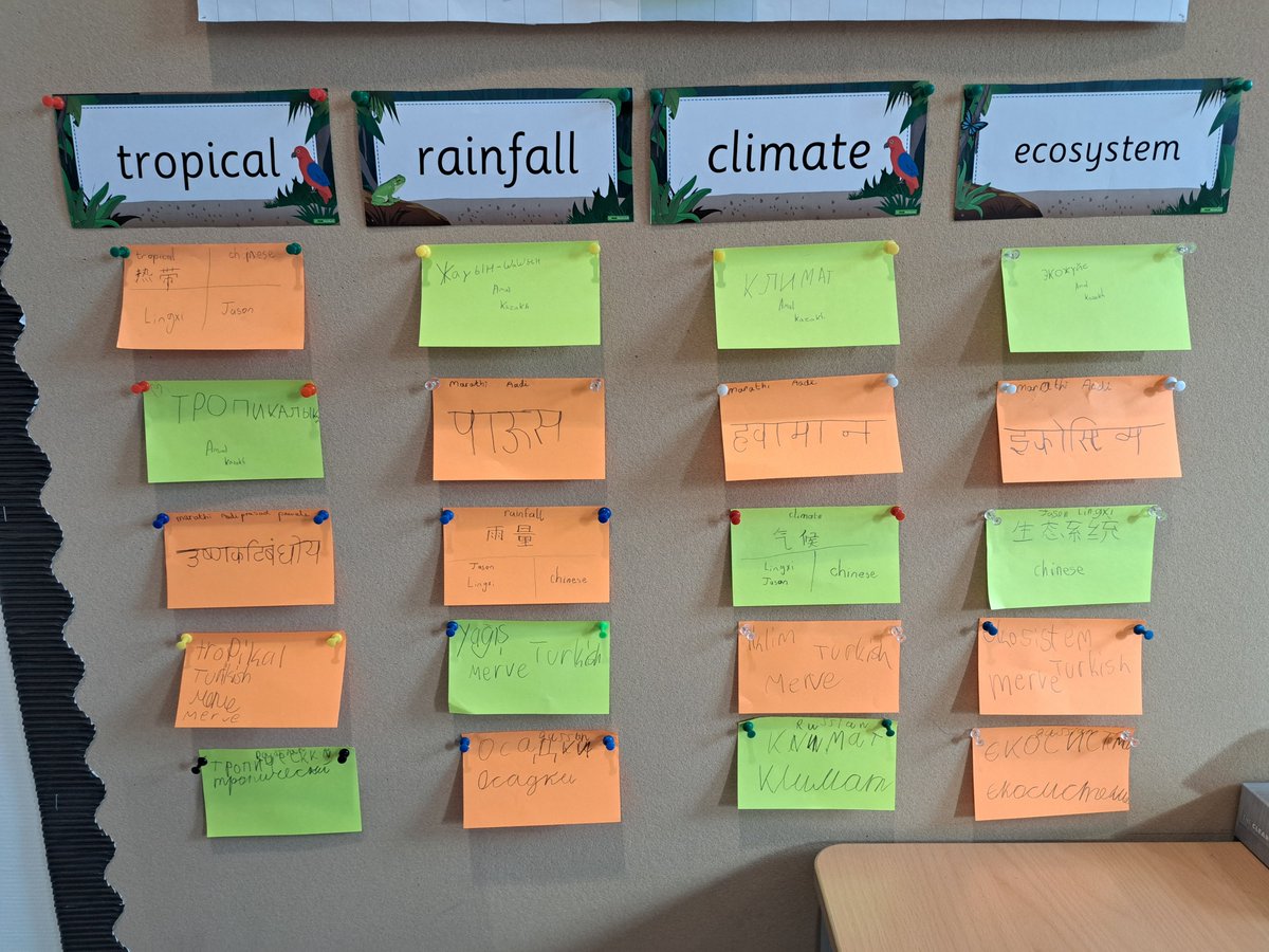 ISH_EAL's tweet photo. In Y3, we are learning about the #rainforest in IPC. We went over some #vocabulary in our unit and explored what they were in our #homelanguages. #translanguaging #multilingual #alllanguagesmatter #eal https://t.co/2P5gQF2zRU