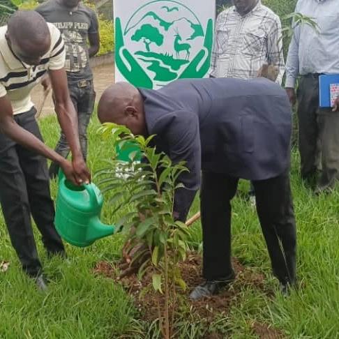 Witness the transformational power of trees! 🌳 Thanks to our donor from the Netherlands, the Wonders of Trees project in Uganda is thriving, with thousands of trees planted to combat climate change and foster biodiversity. #WondersOfTrees #Uganda #ClimateAction #CBSPEWOSAUGANDA