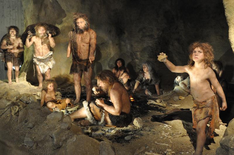 Hatte schon der Neandertaler eine #Fettleber? Was uns die #Archäogenetik über Lebersteatose bei alten und modernen Menschen sagt – Publikation von @uniklinikum_wue @MPI_EVA_Lei...
nachrichten.idw-online.de/2024/03/11/hat…