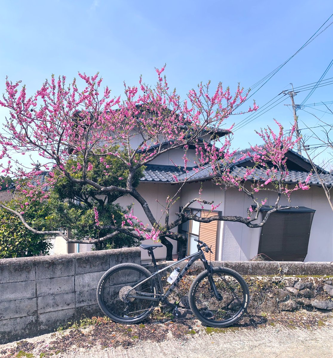 erickyerjeit7's tweet photo. 今日の写真は山間の小さな村で見つけました！ 🥰
#kyushu https://t.co/Bf8D1eHcS9