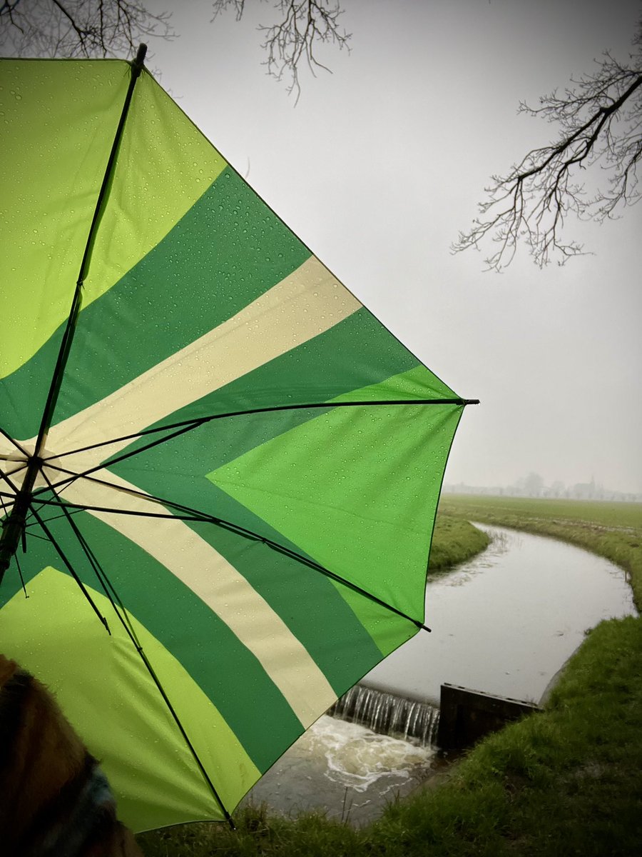 EstherRuesen's tweet photo. Goedemorgen vanuut de Achterhoek 

#regendag #maandag #lentevogeksinhetbos #achterhoek #onverwachtehoek #deenigeplu💚 https://t.co/epIJLJYSPF