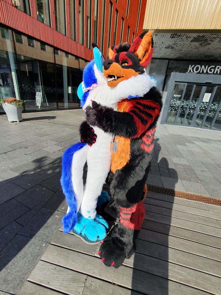 Zero_puppy's tweet photo. Sadly missed family photo but it was nice to meet a family member and get a new friend. Hope to see you next NFC
@TurboShamu https://t.co/8GAbNexK10