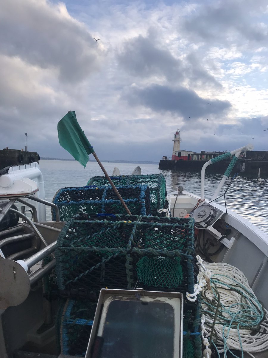 Here we go 2024 🦞🦀