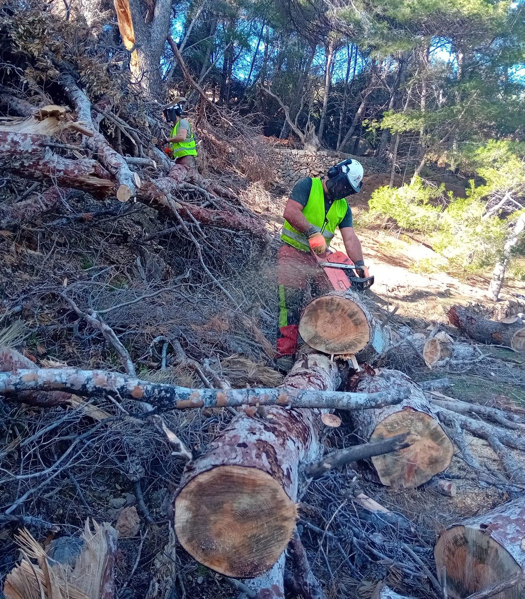 PedraSenderisme's tweet photo. Tancat provisionalment per retirada d'arbres caiguts a cala Tuent un tram de la Ruta de Pedra en Sec de la variant de sa Costera. Disculpau les molèsties.
#gr221 #rutadepedraensec #mallorca #escorca #senderismo #serradetramuntana #unesco #hiking #ConselldeMallorca https://t.co/J0jPYEfVO0